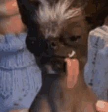 1745925900066.gif