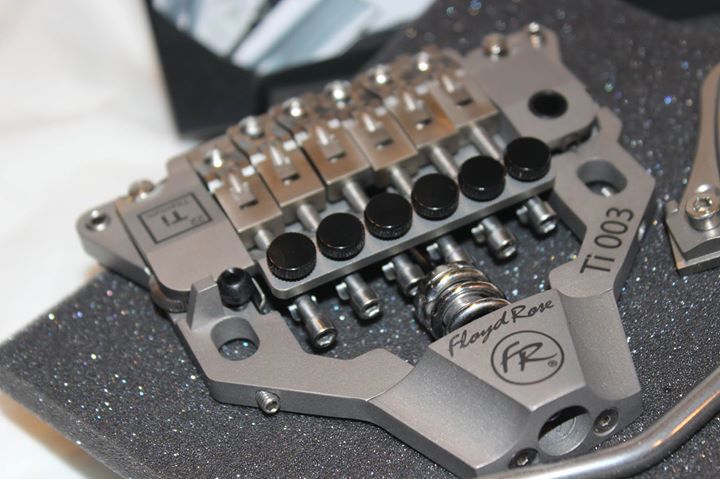 Floyd Rose FRX Tremolo System Titanium | Rig-Talk