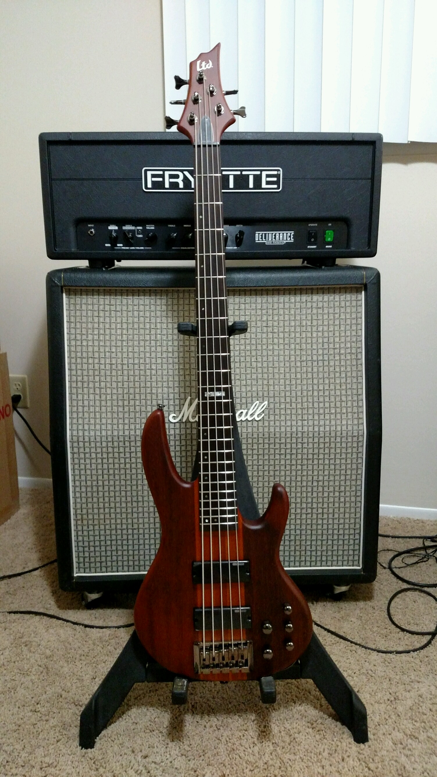 Esp ltd deals d5 bass