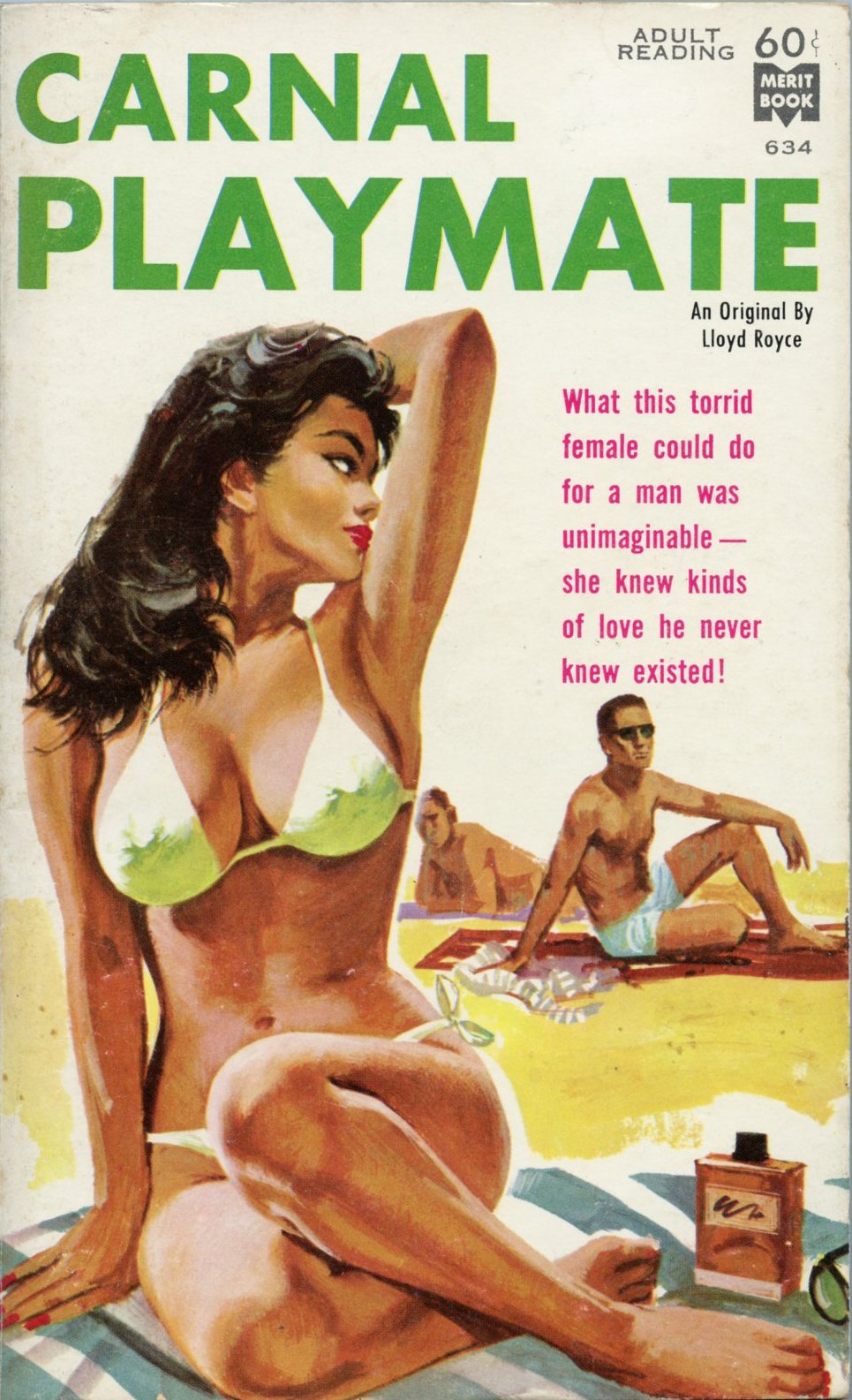 bikini dime novel cover.jpg