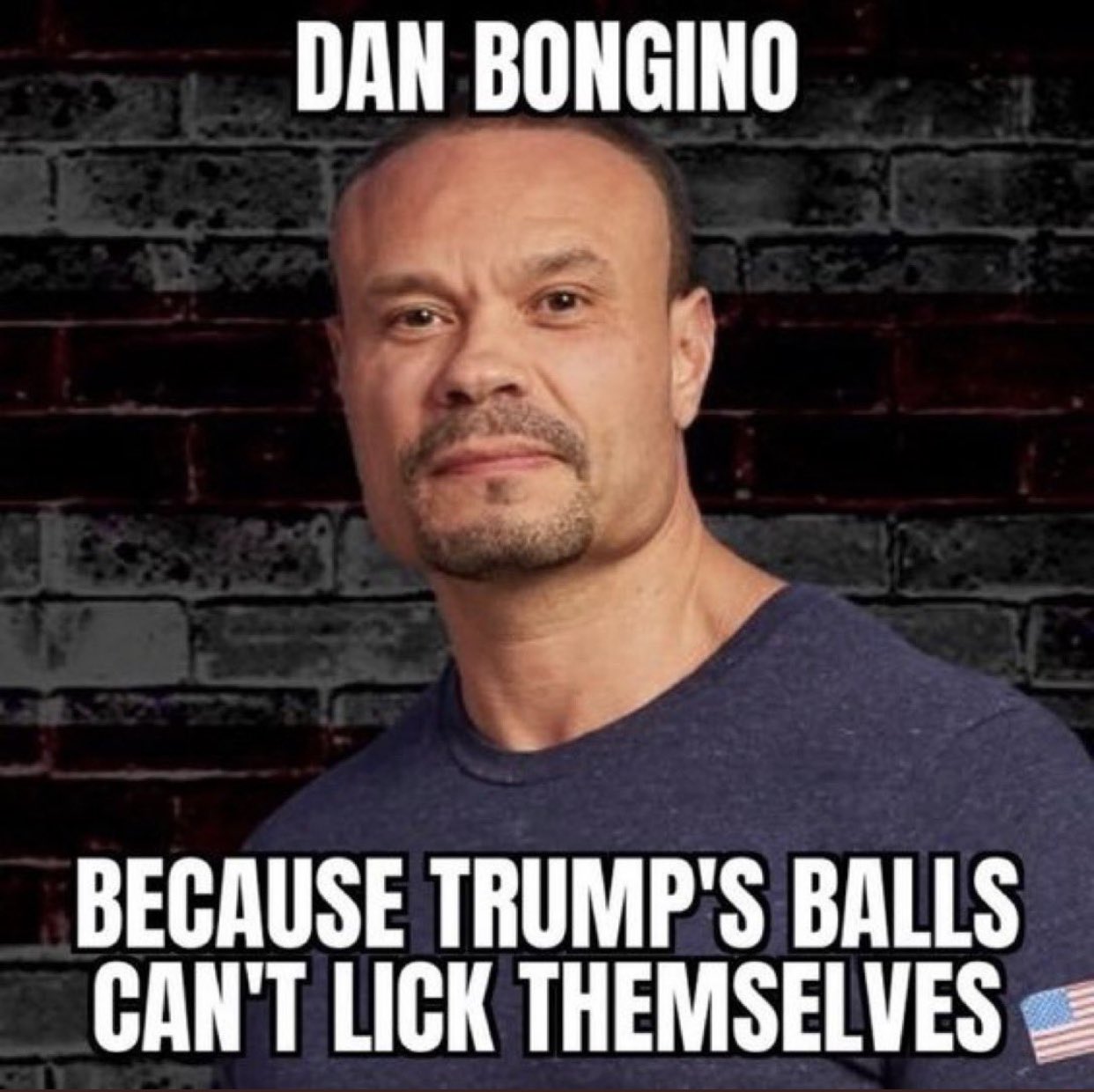 bongino because trumps balls cant lick themselves.jpg