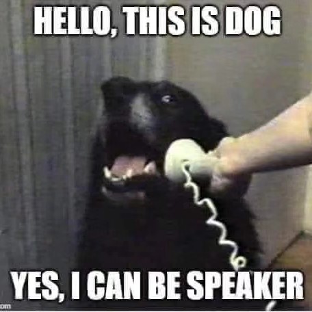 dog i can be speaker.jpg