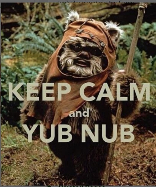 Ewok Medium.jpeg