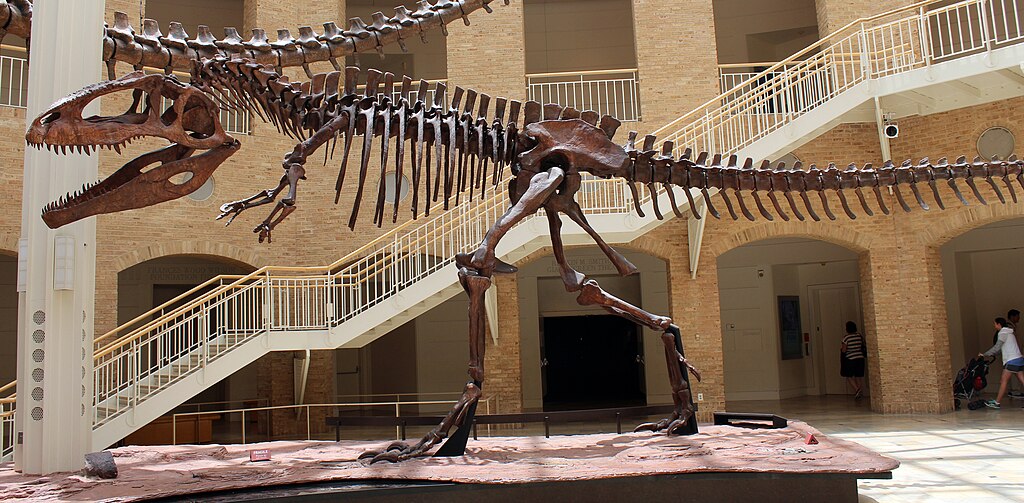 Giganotosaurus_at_Fernbank.jpg