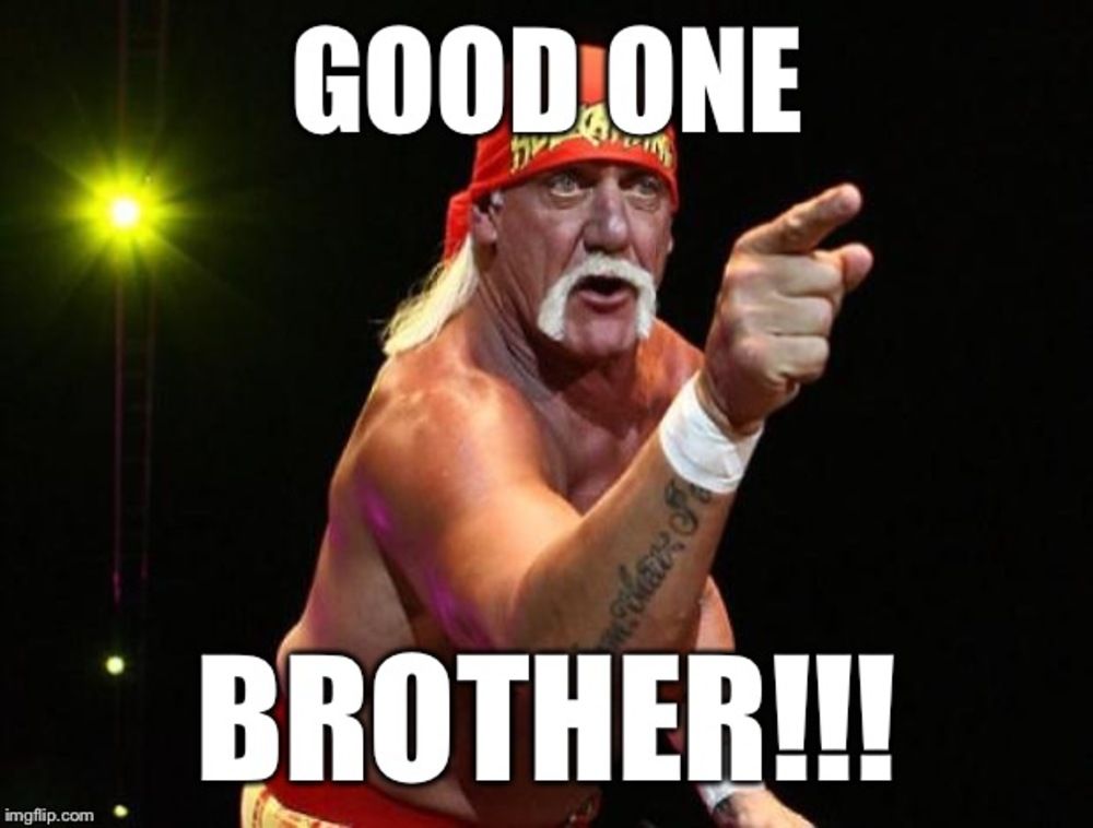 hulk-hogan-brother-(1)-254393760.jpg