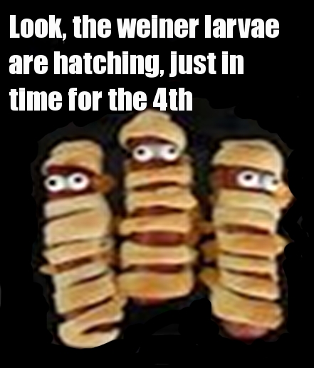 larvae.jpeg