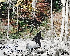 Patterson–Gimlin_film_frame_352.jpg