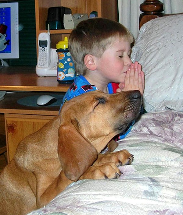 praying-dog10.jpg