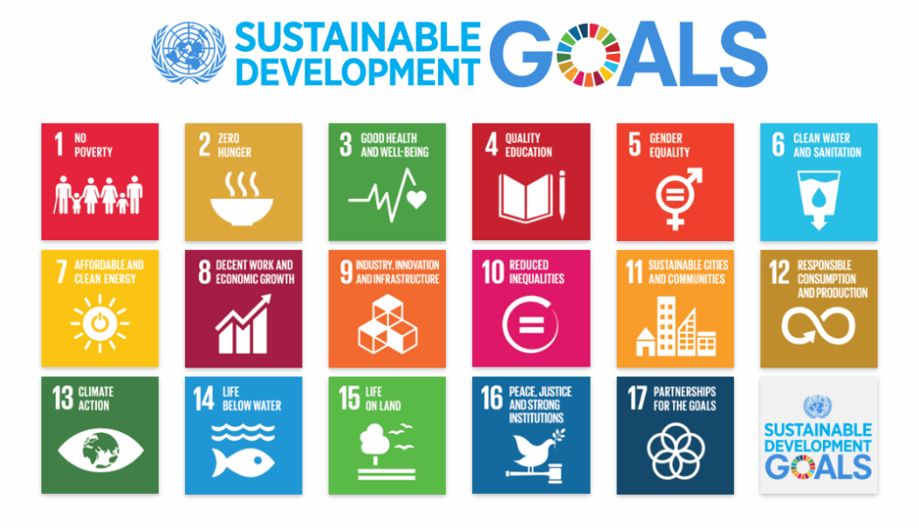 sdgs-sustanable-development-goals-1024x589-1.png