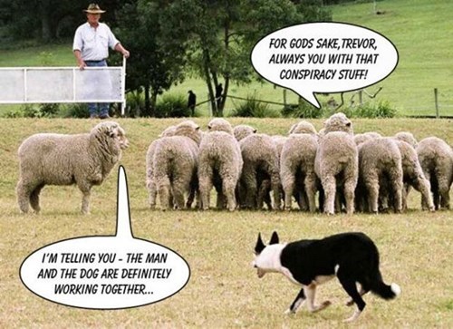 Sheeple Conspiracy.jpeg