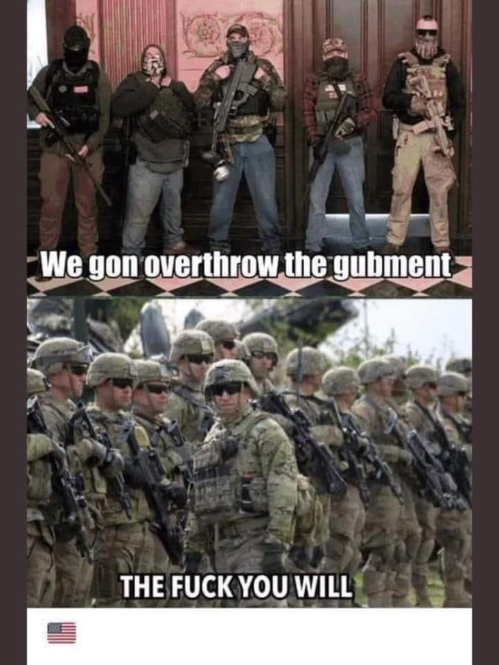 the fuck you will overthrow govt lol.jpg