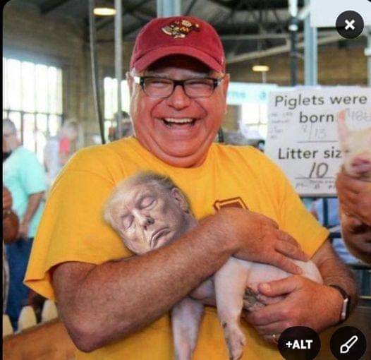 tim walz trump piglet.jpg