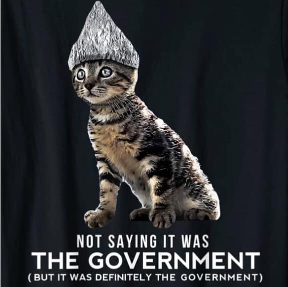 tinfoil hat cat it was government.jpg