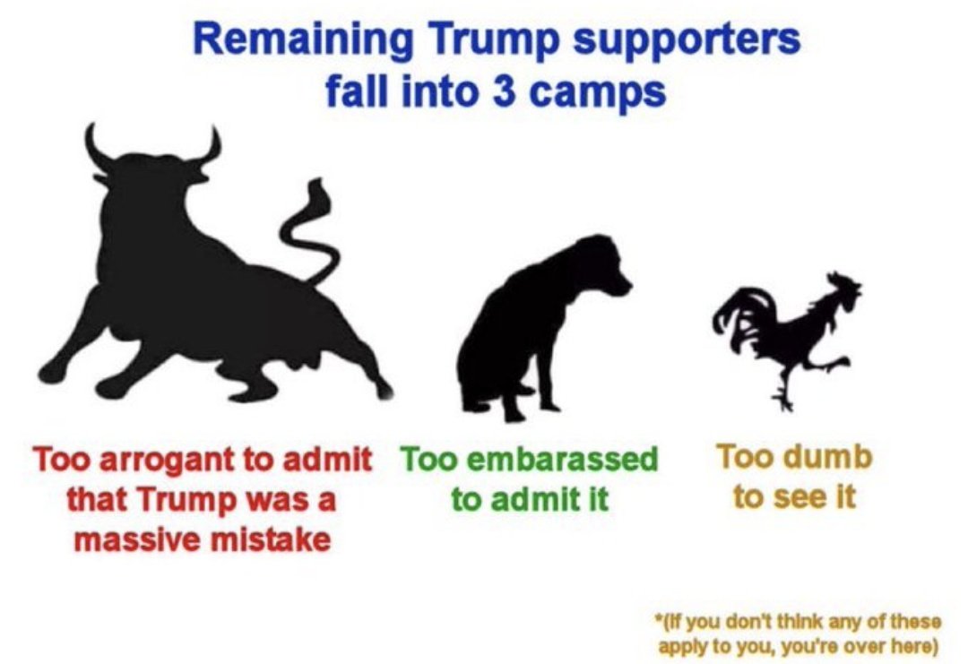 trump supporters remaining.jpg