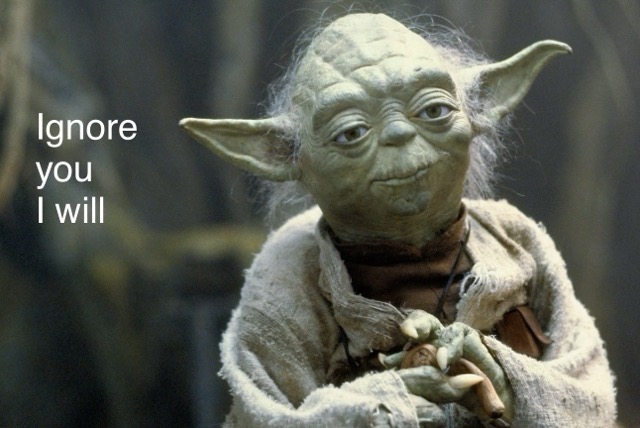 Yoda Medium.jpeg