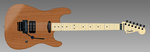 Charvel 5.jpg