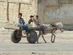 Donkey cart 2_JPG.jpg