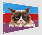 Big Hairy Guitars CAT for FCPX.jpg