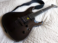 ESP Horizon NT-II 02.JPG