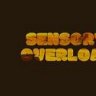 SensoryOverload