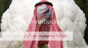 images-6.jpg