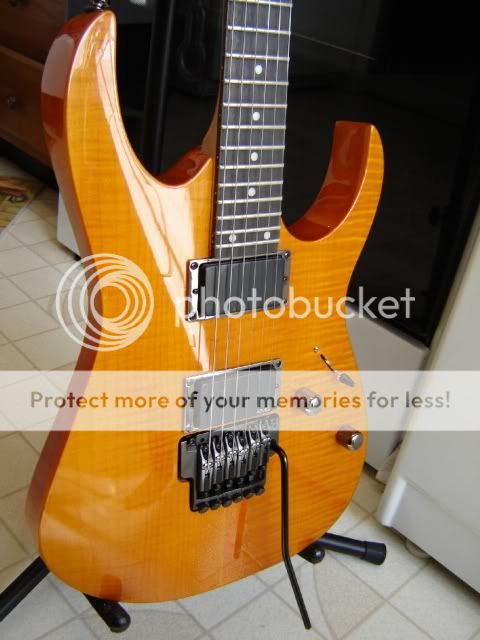 RG320fmpic5.jpg